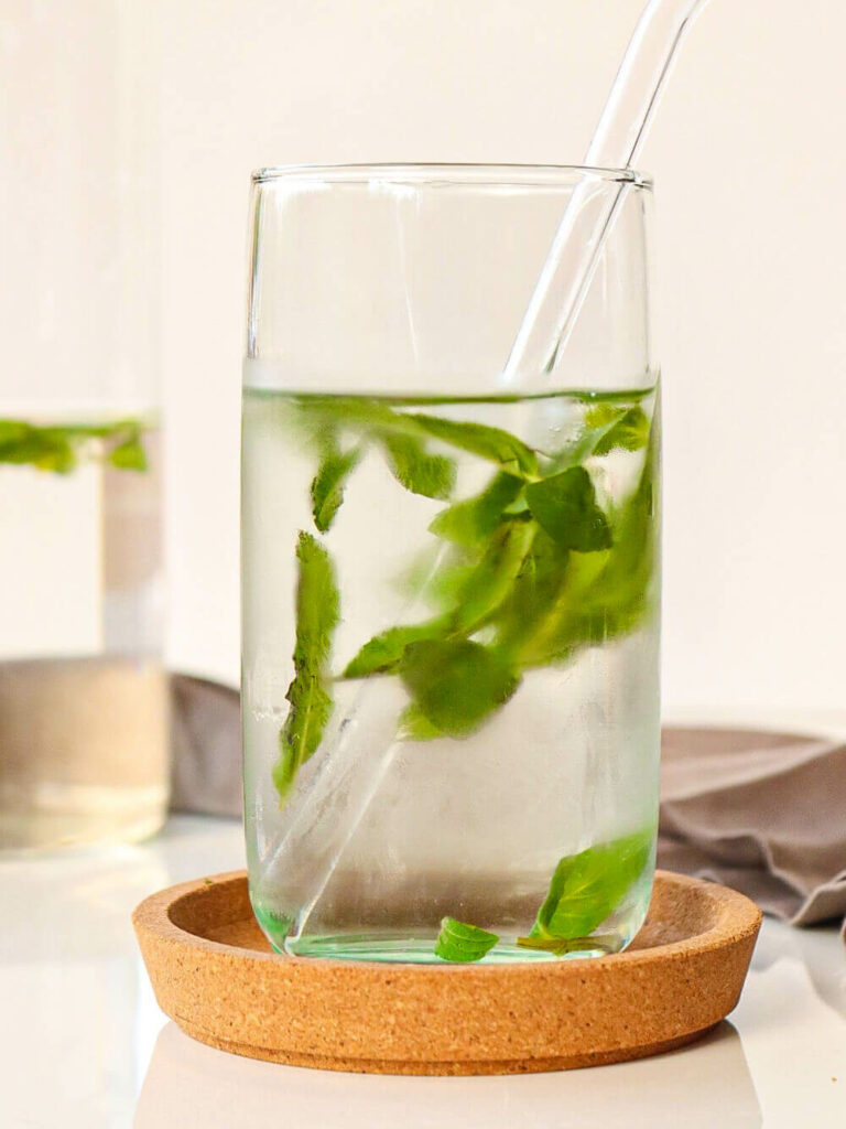 Mint Leaves Infused Water