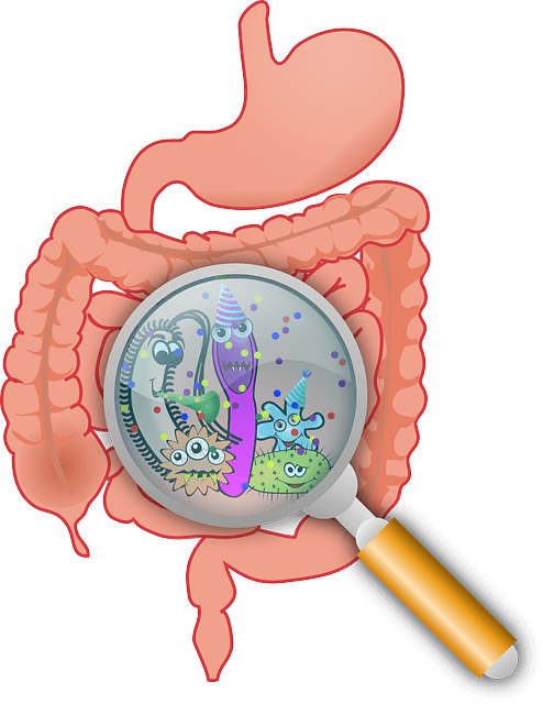 healthy digestion