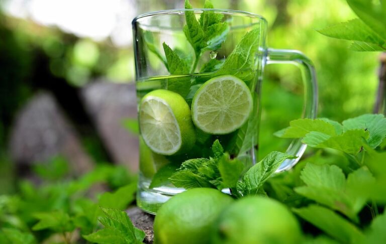 Herb Infused Water Recipe & Benefits