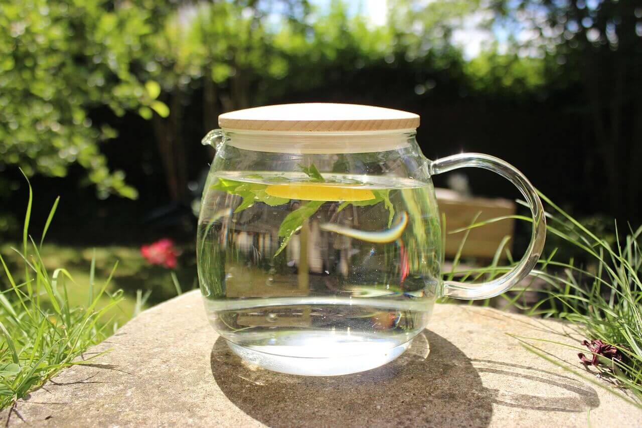 Mint Infused Water