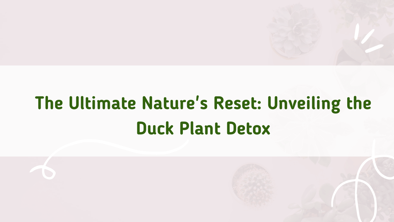 duck plant detox