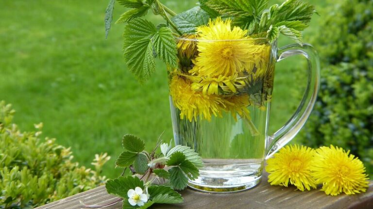 Discover the Power of Detox Dandelion Tea